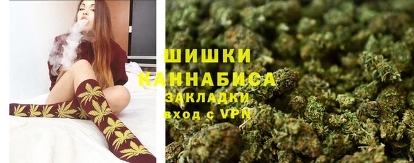 кокс Ельня
